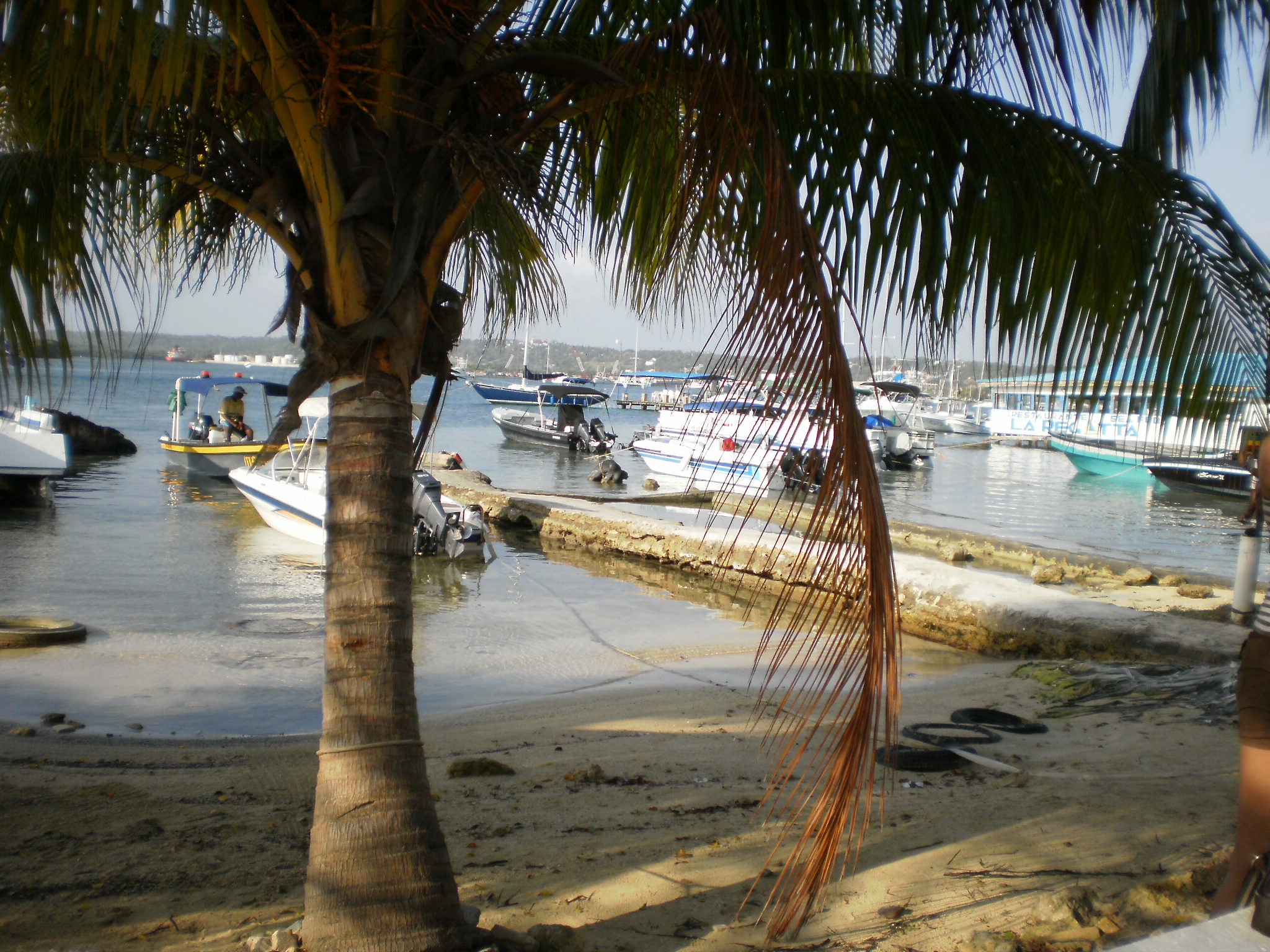 P1230048