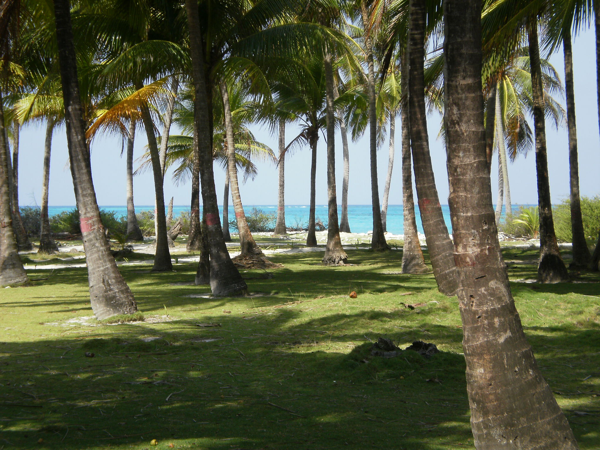 P1230078